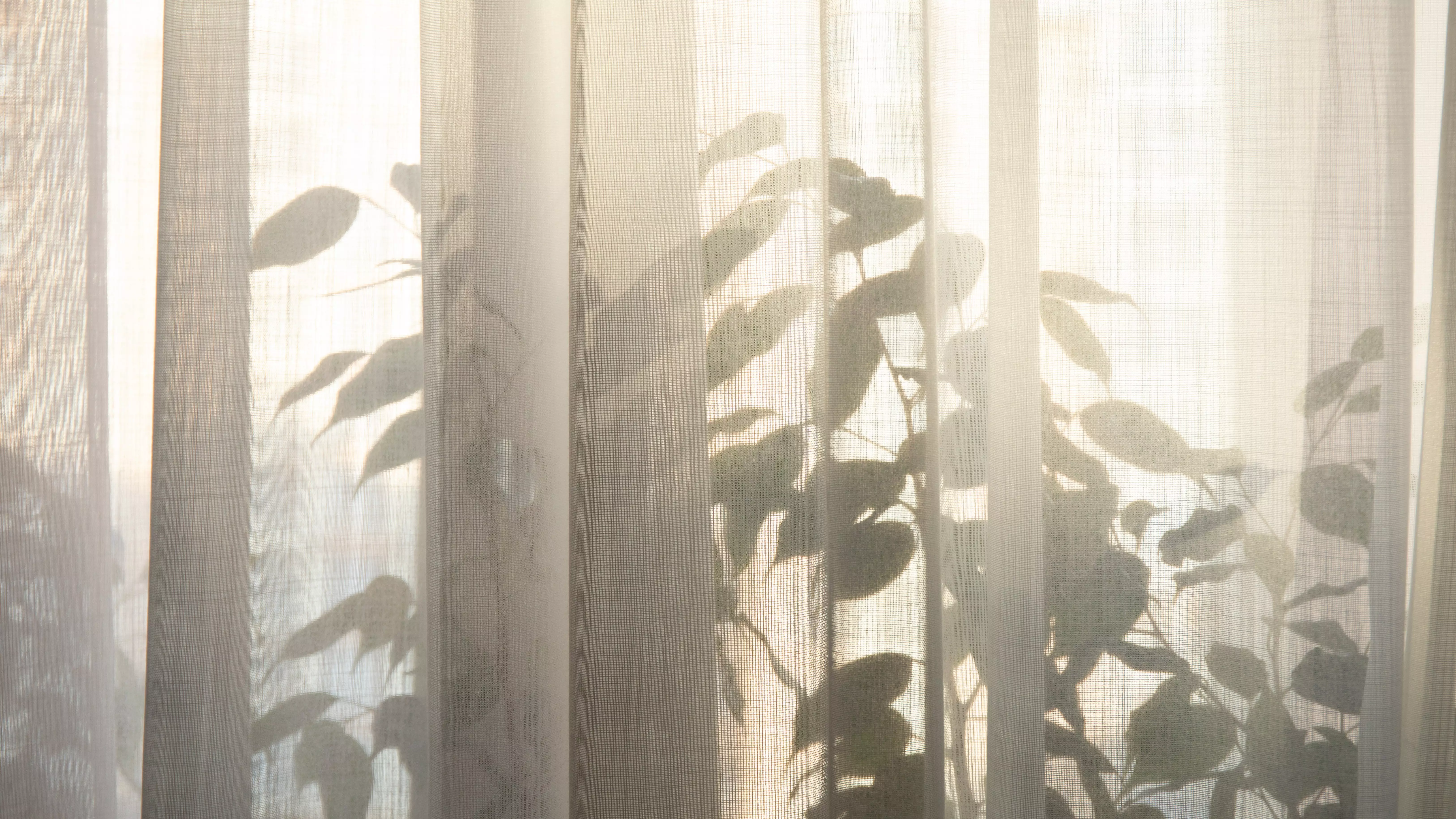 transparente-gardinen