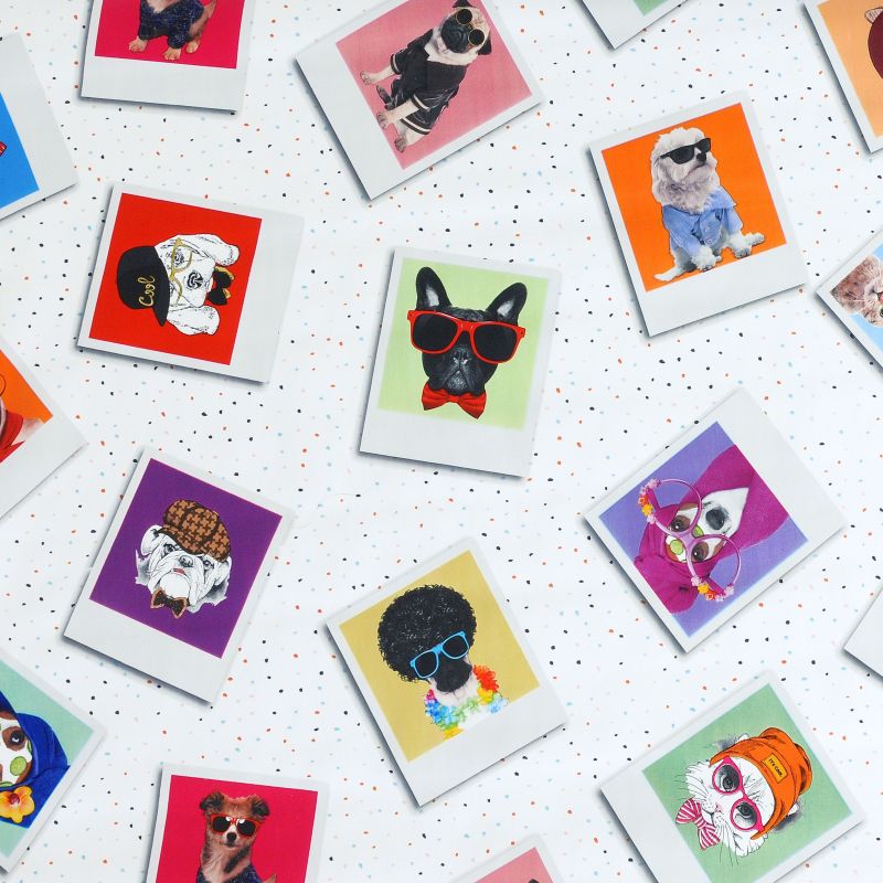 Tischdecke Abwaschbar Wachstuch Polaroid Hunde und Katzen im Wunschmaß