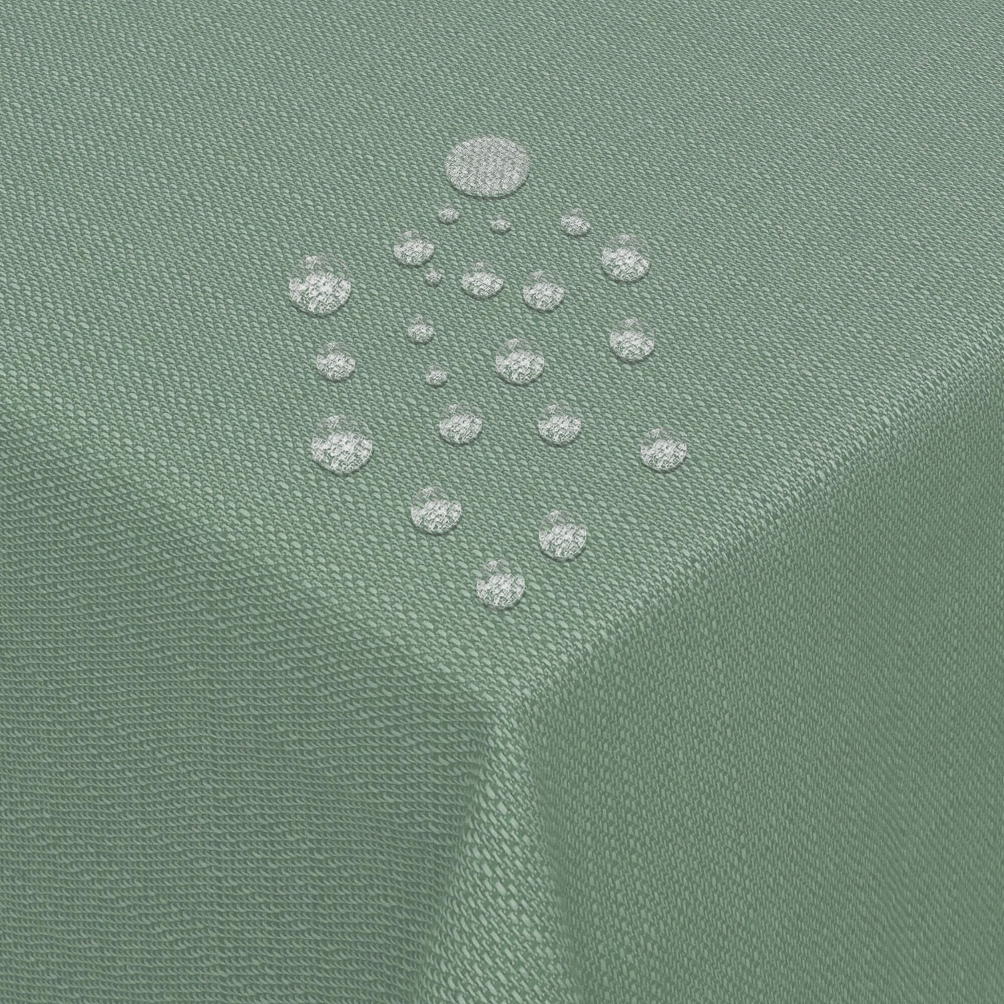 183042298 - Eukalyptus